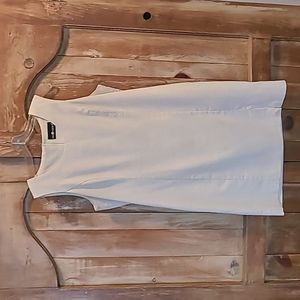 Classically styled, Sag Harbor sheath dress, size 12.